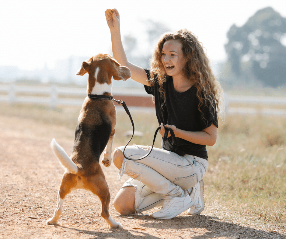 Allergie beim Hund